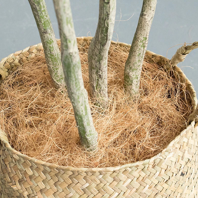 Árbol de coco Artificial de 150/180cm/210cm, plantas verdes grandes, palmera, bonsái, decoración para el hogar, oficina, piso en maceta