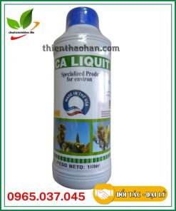 yucca liquid